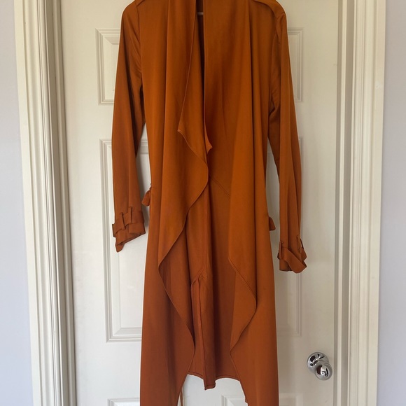 Zara Trenchcoat - Picture 12 of 16